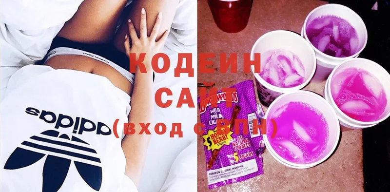 купить закладку  Наволоки  Кодеиновый сироп Lean Purple Drank 